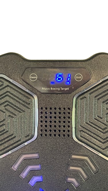 Active Rave Boxing Machine